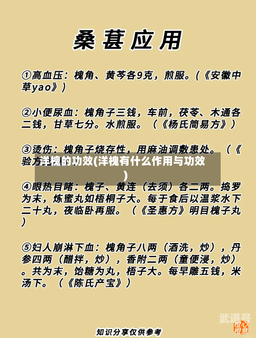 洋槐的功效(洋槐有什么作用与功效)