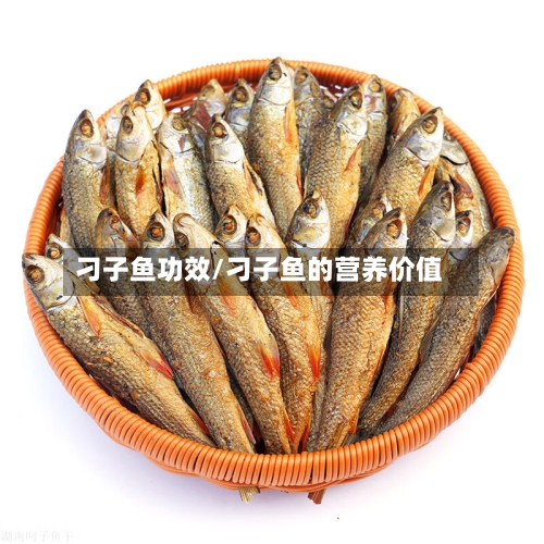刁子鱼功效/刁子鱼的营养价值