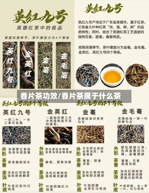 香片茶功效/香片茶属于什么茶