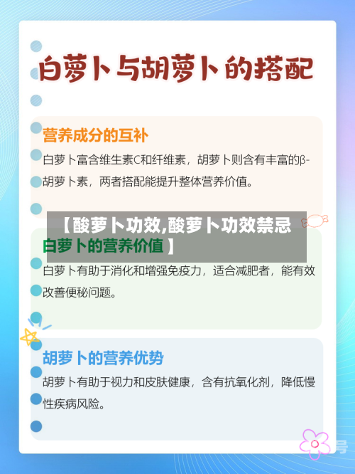 【酸萝卜功效,酸萝卜功效禁忌】