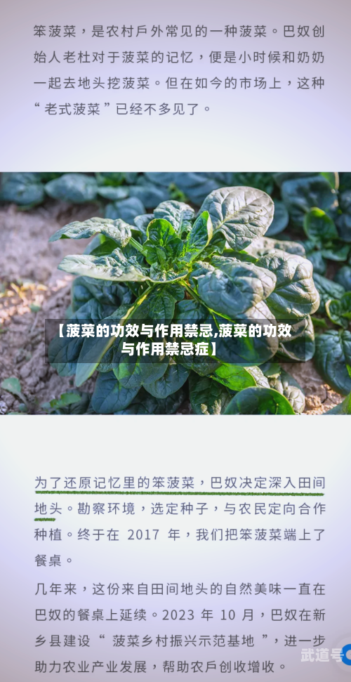 【菠菜的功效与作用禁忌,菠菜的功效与作用禁忌症】