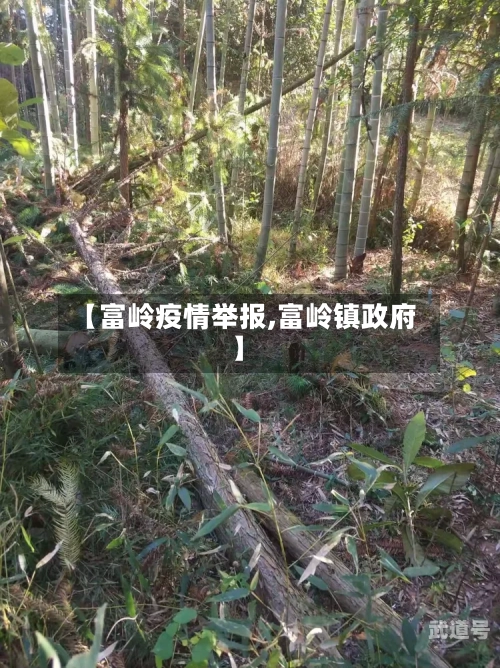 【富岭疫情举报,富岭镇政府】