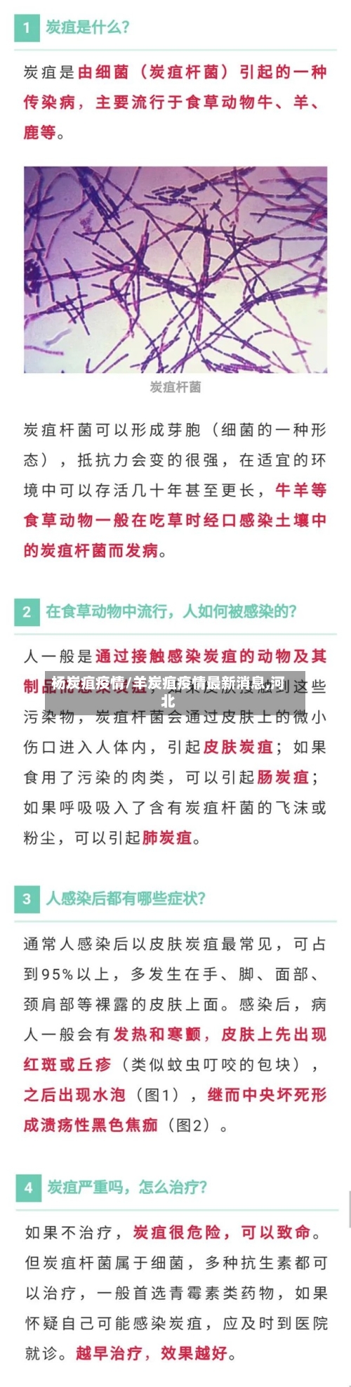 杨炭疽疫情/羊炭疽疫情最新消息,河北