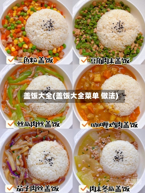 盖饭大全(盖饭大全菜单 做法)
