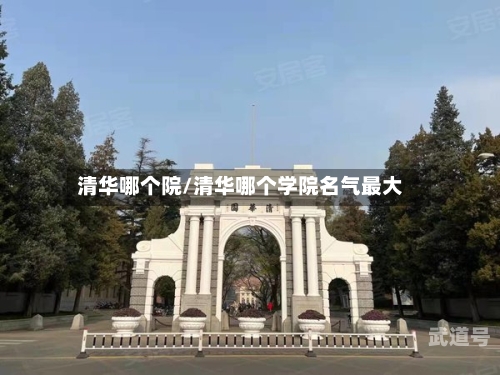 清华哪个院/清华哪个学院名气最大