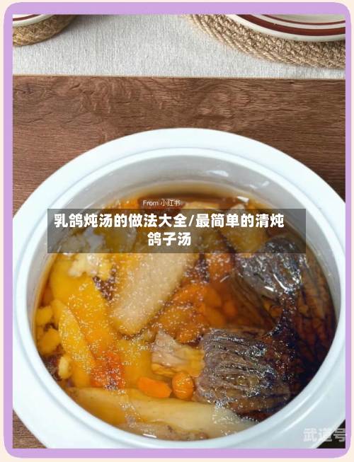 乳鸽炖汤的做法大全/最简单的清炖鸽子汤