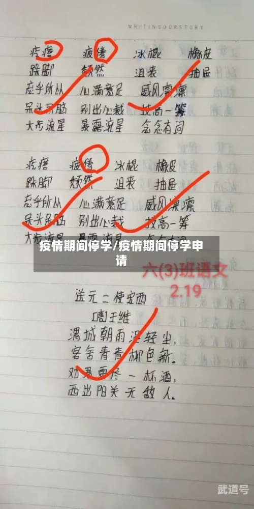 疫情期间停学/疫情期间停学申请