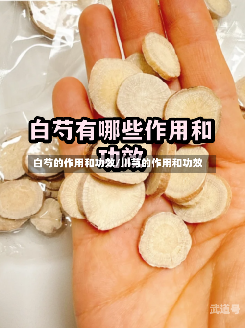 白芍的作用和功效/川芎的作用和功效