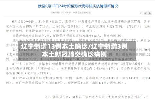 辽宁新增13例本土确诊/辽宁新增3例本土新冠肺炎确诊病例-第3张图片