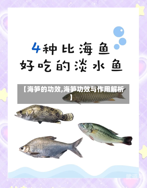 【海笋的功效,海笋功效与作用解析】-第3张图片