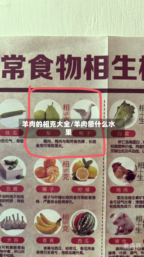 羊肉的相克大全/羊肉忌什么水果