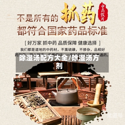 除湿汤配方大全/除湿汤方剂