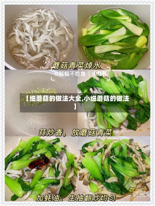 【细蘑菇的做法大全,小细蘑菇的做法】