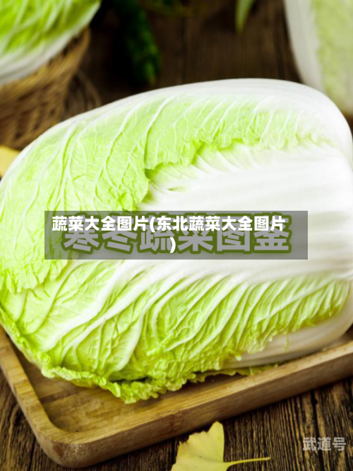 蔬菜大全图片(东北蔬菜大全图片)