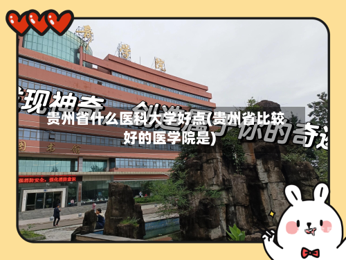 贵州省什么医科大学好点(贵州省比较好的医学院是)