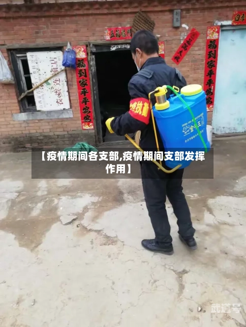 【疫情期间各支部,疫情期间支部发挥作用】