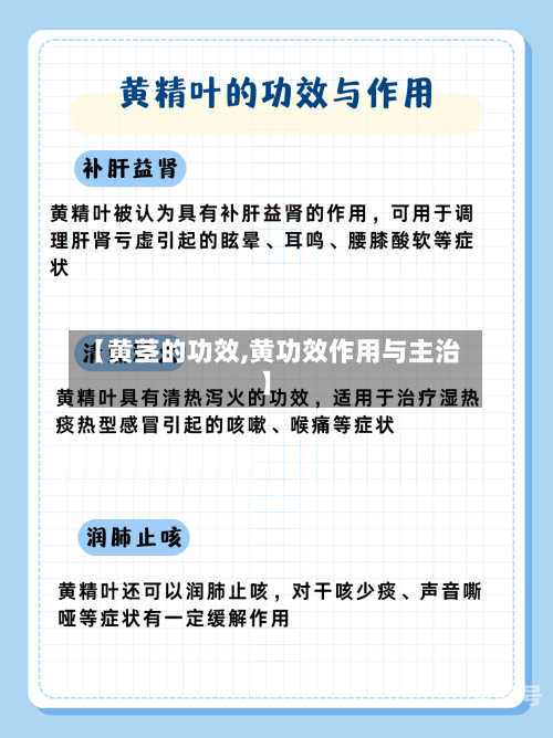 【黄茎的功效,黄功效作用与主治】