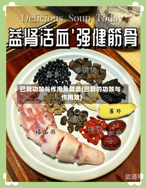 巴戟功效与作用及禁忌(巴戟的功效与作用效)