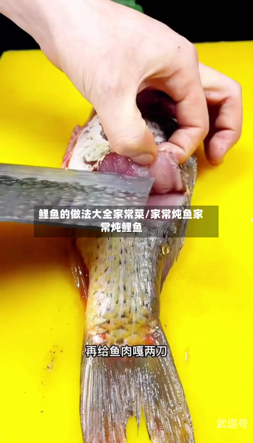 鲤鱼的做法大全家常菜/家常炖鱼家常炖鲤鱼