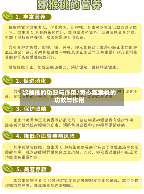弥猴桃的功效与作用/黄心猕猴桃的功效与作用