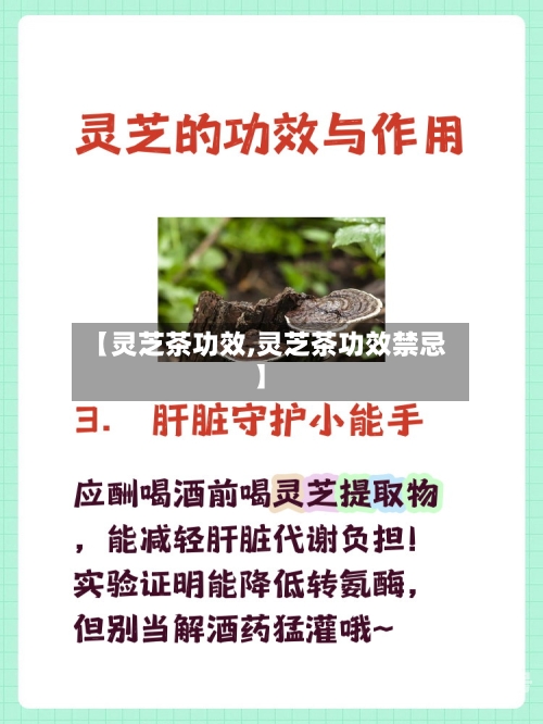 【灵芝茶功效,灵芝茶功效禁忌】