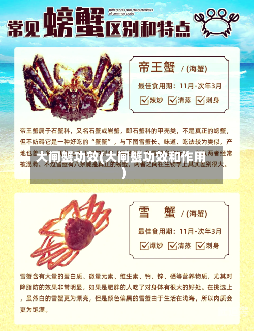 大闸蟹功效(大闸蟹功效和作用)-第2张图片