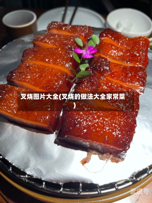 叉烧图片大全(叉烧的做法大全家常菜)-第2张图片