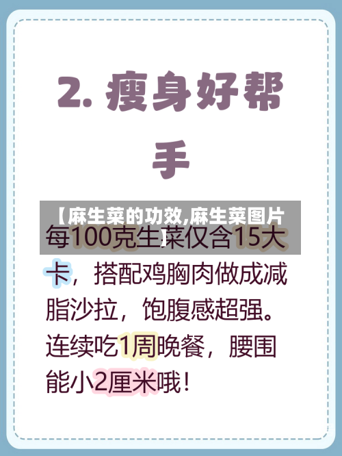 【麻生菜的功效,麻生菜图片】