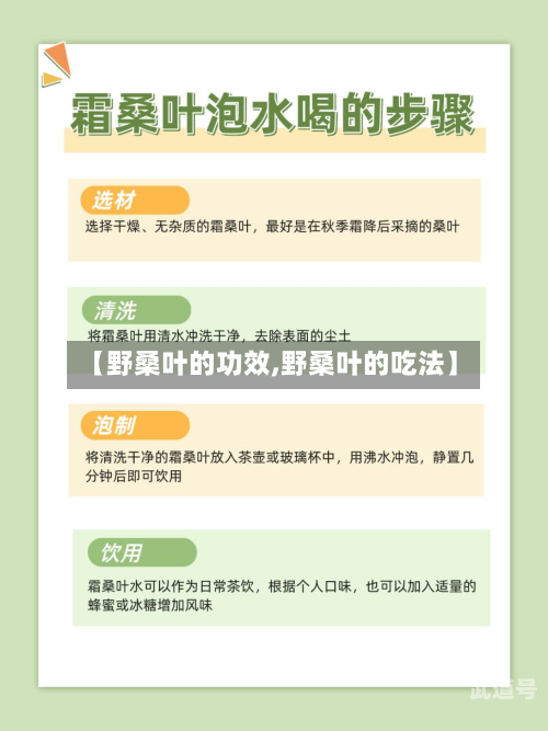 【野桑叶的功效,野桑叶的吃法】