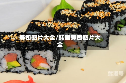 寿司图片大全/韩国寿司图片大全