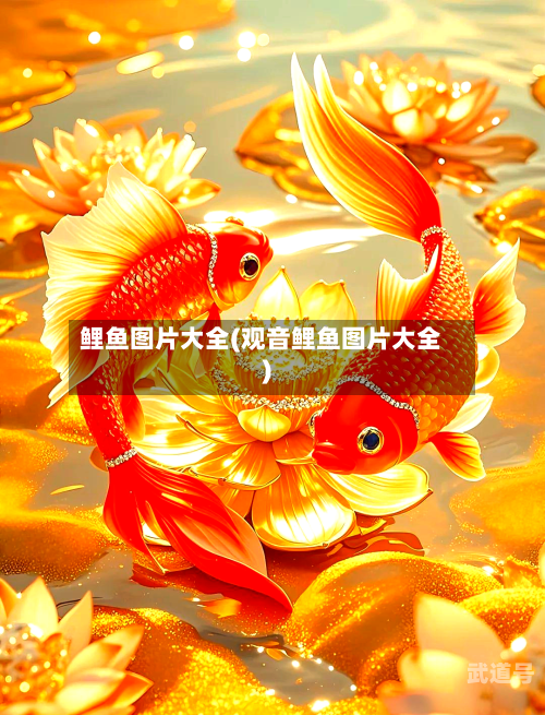 鲤鱼图片大全(观音鲤鱼图片大全)-第2张图片