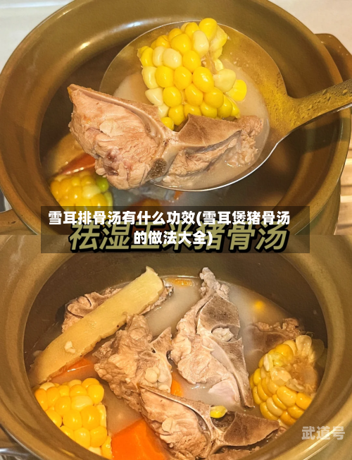 雪耳排骨汤有什么功效(雪耳煲猪骨汤的做法大全)