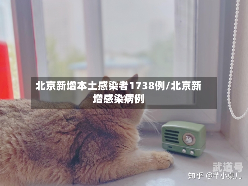 北京新增本土感染者1738例/北京新增感染病例