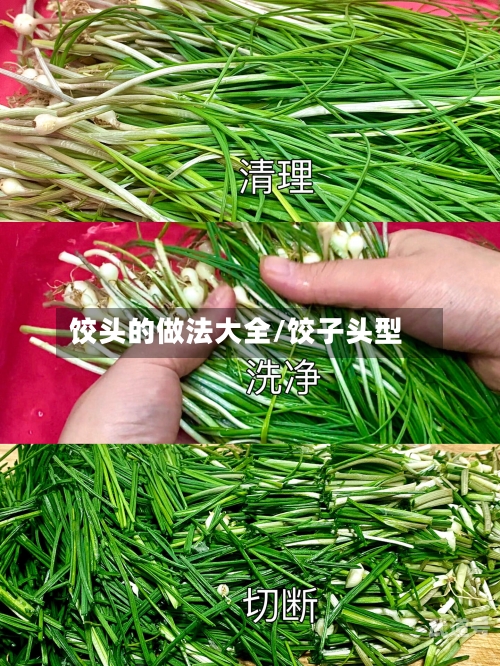 饺头的做法大全/饺子头型