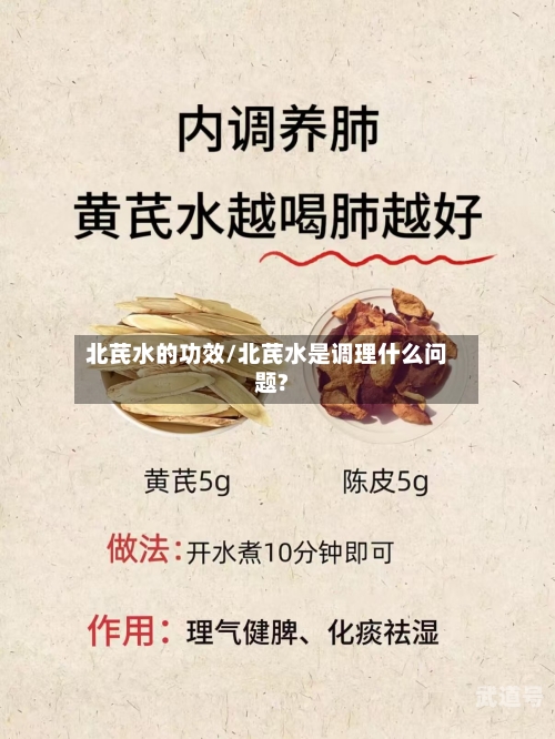 北芪水的功效/北芪水是调理什么问题?