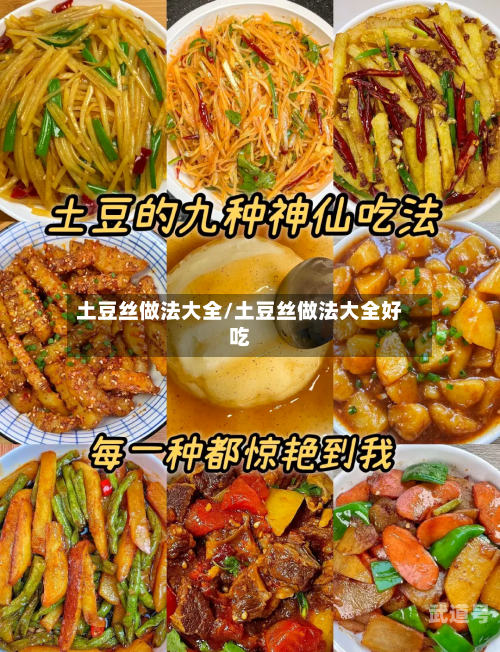 土豆丝做法大全/土豆丝做法大全好吃