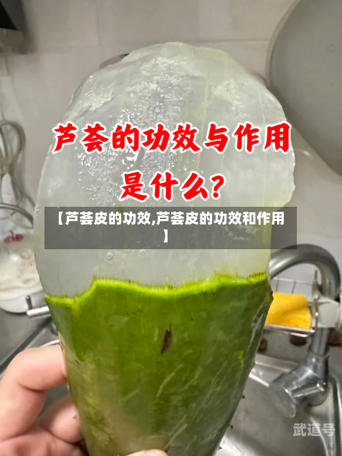 【芦荟皮的功效,芦荟皮的功效和作用】