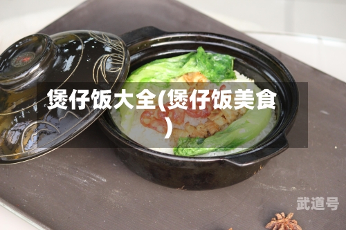 煲仔饭大全(煲仔饭美食)