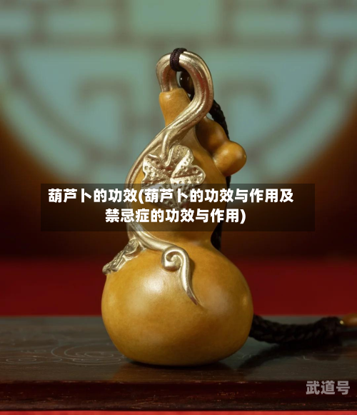 葫芦卜的功效(葫芦卜的功效与作用及禁忌症的功效与作用)-第3张图片