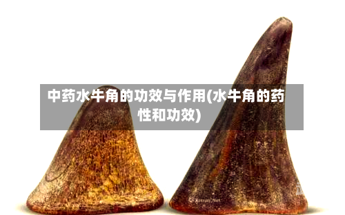 中药水牛角的功效与作用(水牛角的药性和功效)