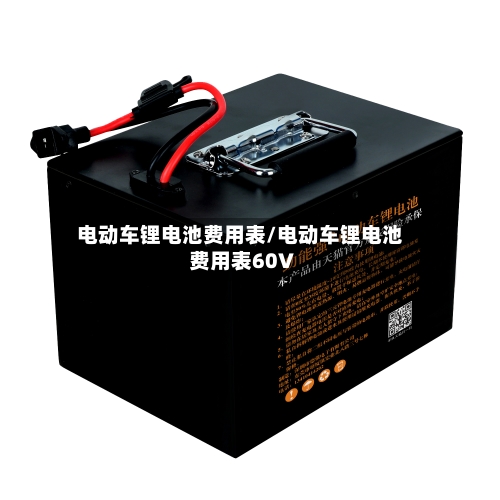 电动车锂电池费用表/电动车锂电池费用表60V