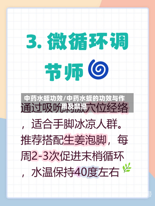 中药水蛭功效/中药水蛭的功效与作用及禁忌