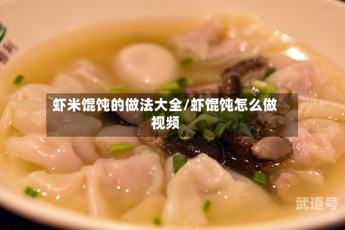 虾米馄饨的做法大全/虾馄饨怎么做视频