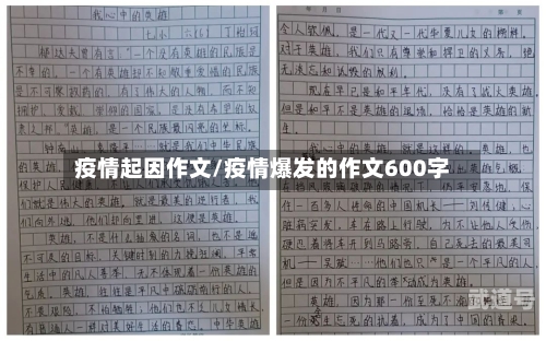 疫情起因作文/疫情爆发的作文600字
