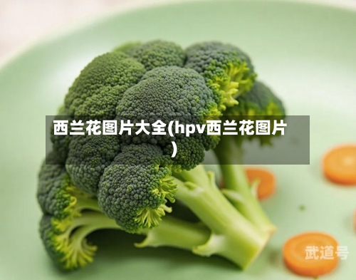 西兰花图片大全(hpv西兰花图片)
