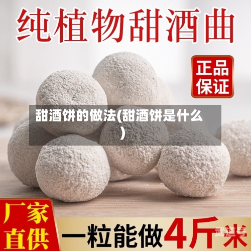 甜酒饼的做法(甜酒饼是什么)