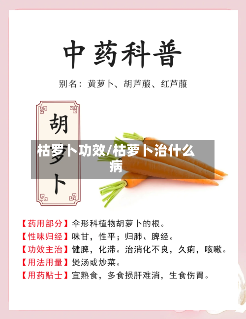 枯罗卜功效/枯萝卜治什么病-第2张图片