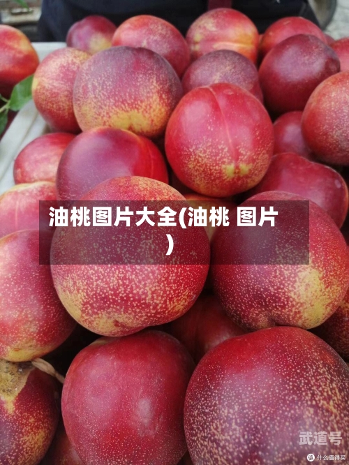 油桃图片大全(油桃 图片)