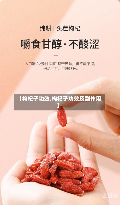 【构杞子功效,构杞子功效及副作用】