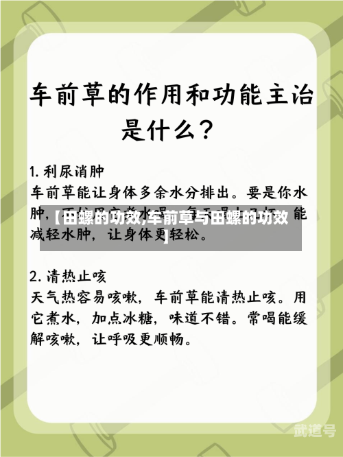 【田螺的功效,车前草与田螺的功效】-第3张图片
